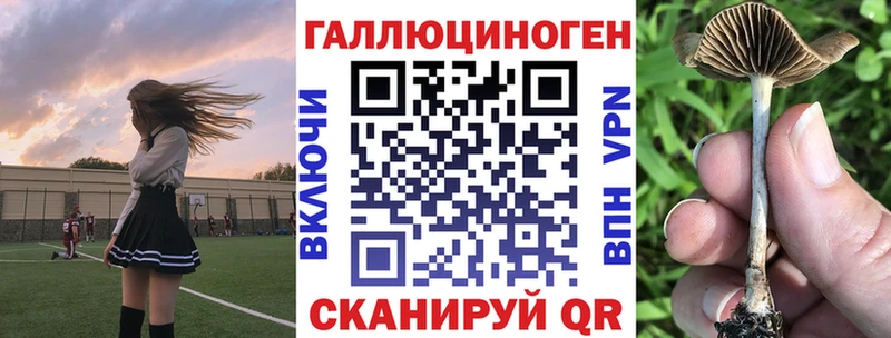 Галлюциногенные грибы мухоморы  hydra вход  Струнино 