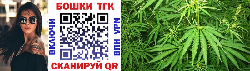 закладки  Струнино  Конопля White Widow 